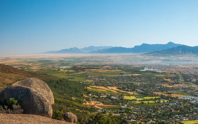 The Paarl winelands, mountains behind the vines.