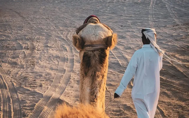 A camel ride at Sealine, Qatar.