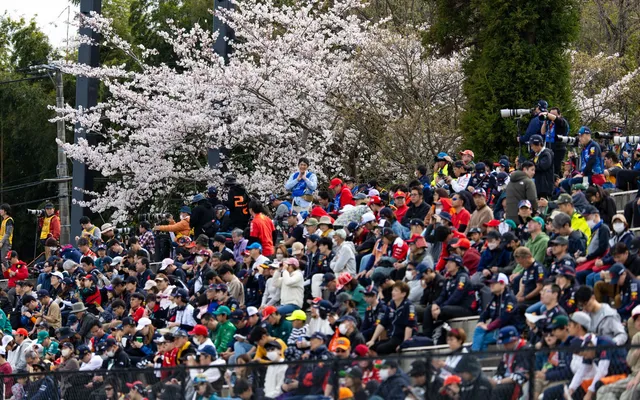 Fans beneath cherry blossom at the Japanese Grand Prix.