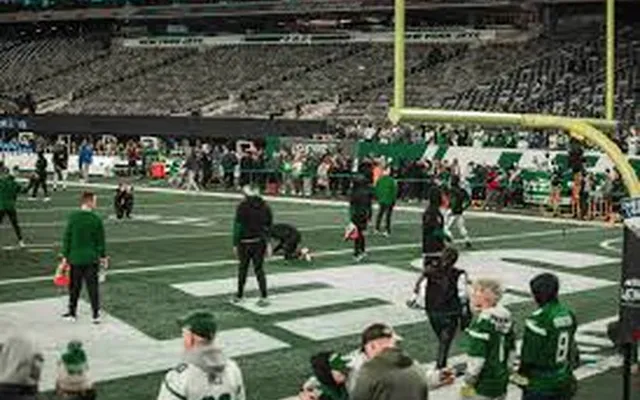 Fans on the MetLife Stadium turf after the game