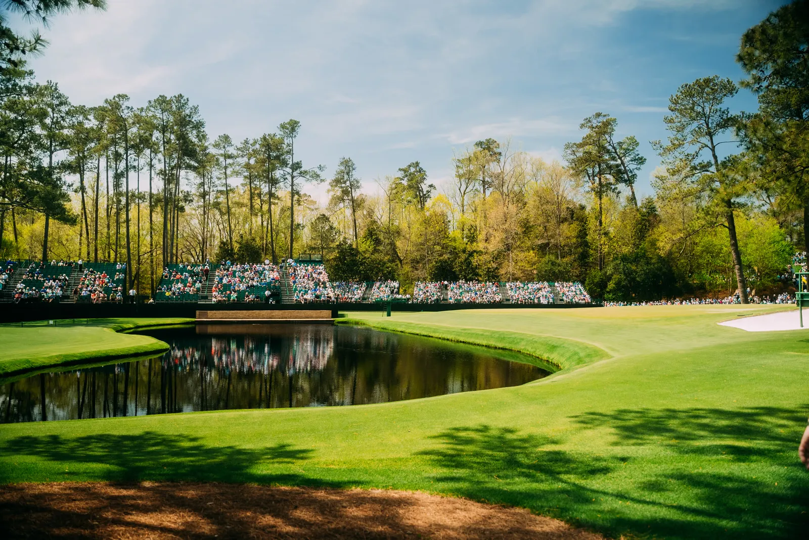 The 16th green at Augusta National, grandstands full, pines behind.