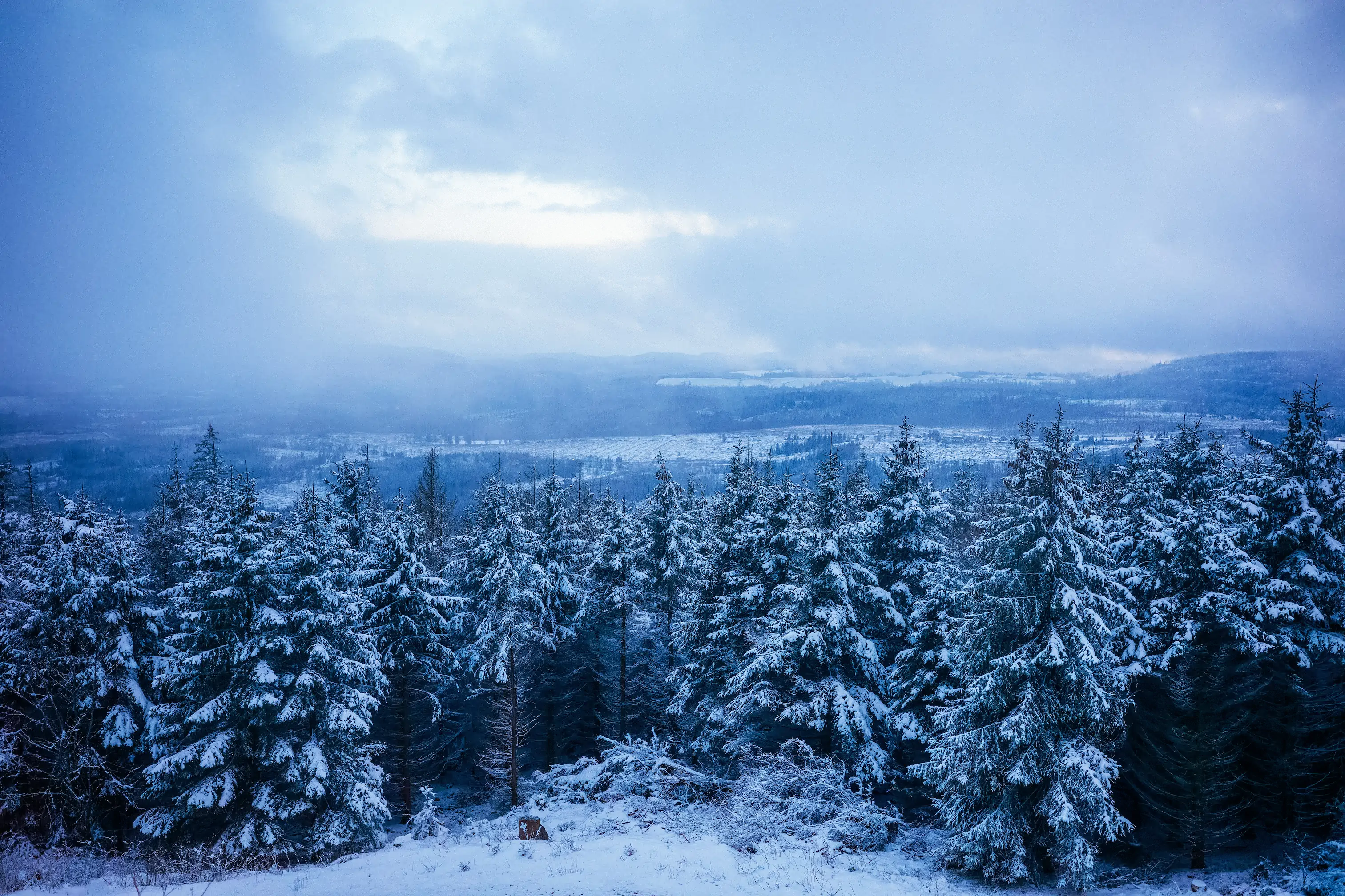 story.content.altText