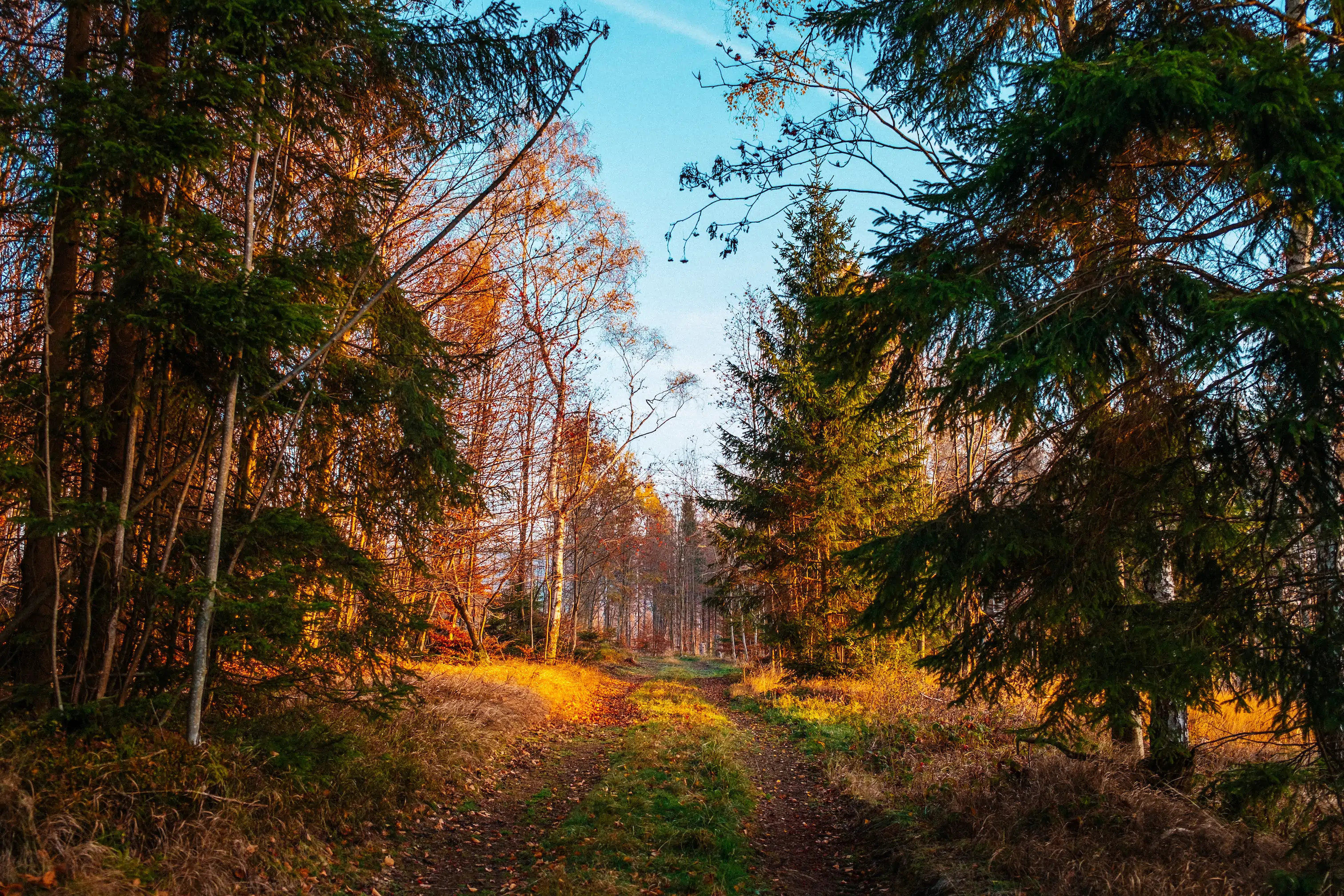 Gipfelstürmer aufgepasst: Jetzt die Wanderschuhe schnüren!