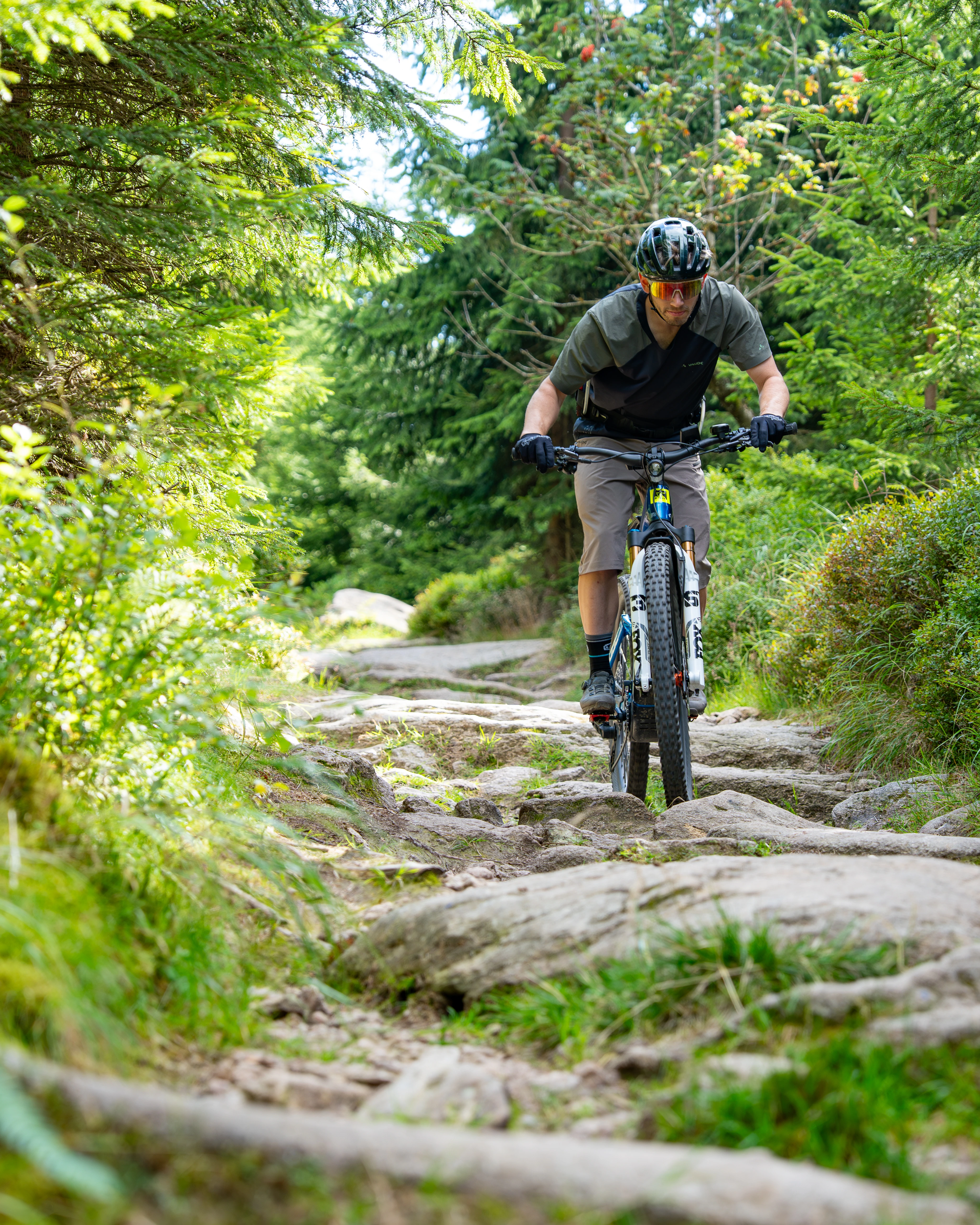 Biken im Harz – Auf den Sattel, fertig, los!