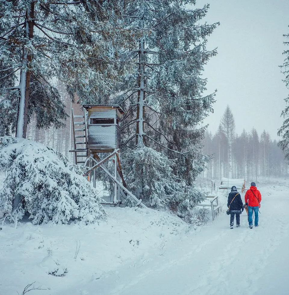 Gipfelstürmer aufgepasst: Jetzt die Wanderschuhe schnüren!