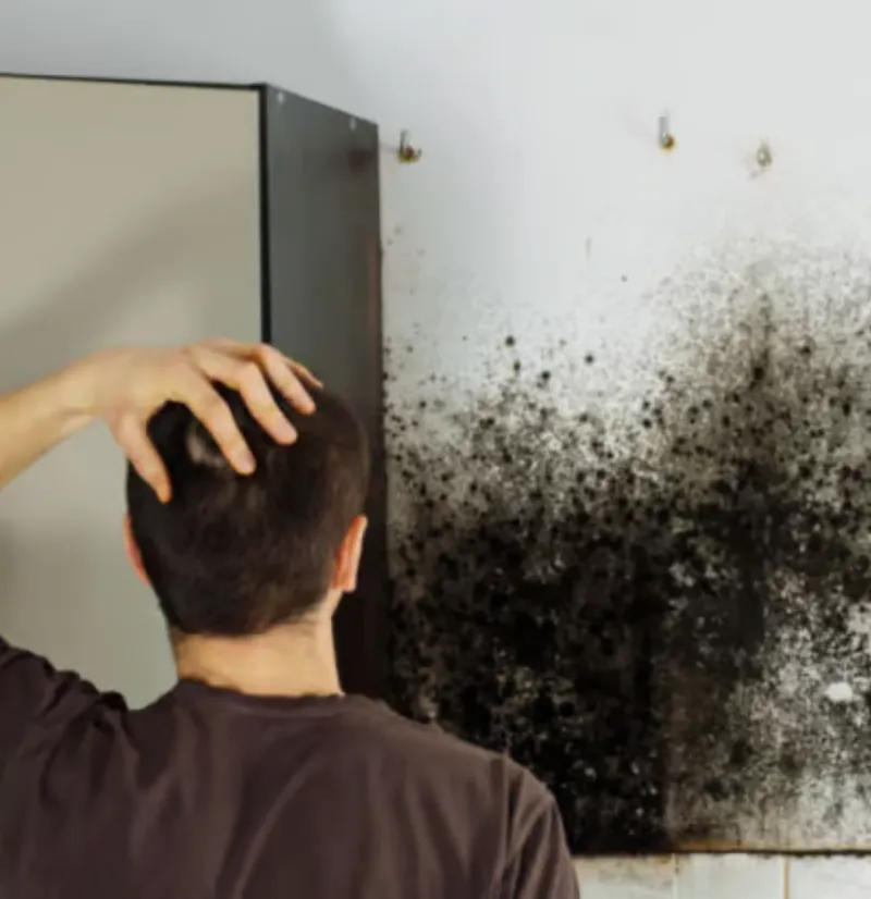 Tenant affected by damp and mould in a council home
