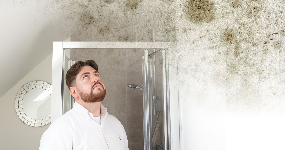 Damp and disrepair in a council property
