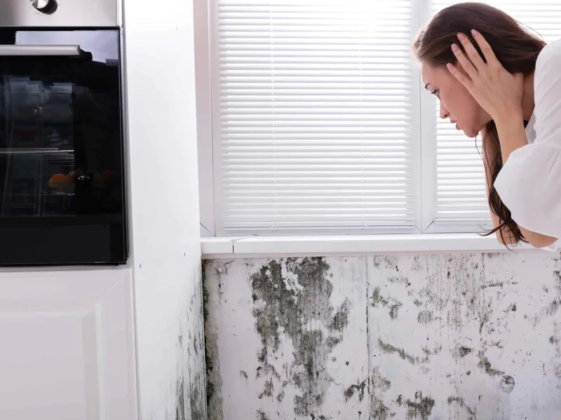 Solicitor reviewing a damp and mould claim