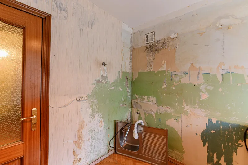 Peeling paint and damp damage in a council house