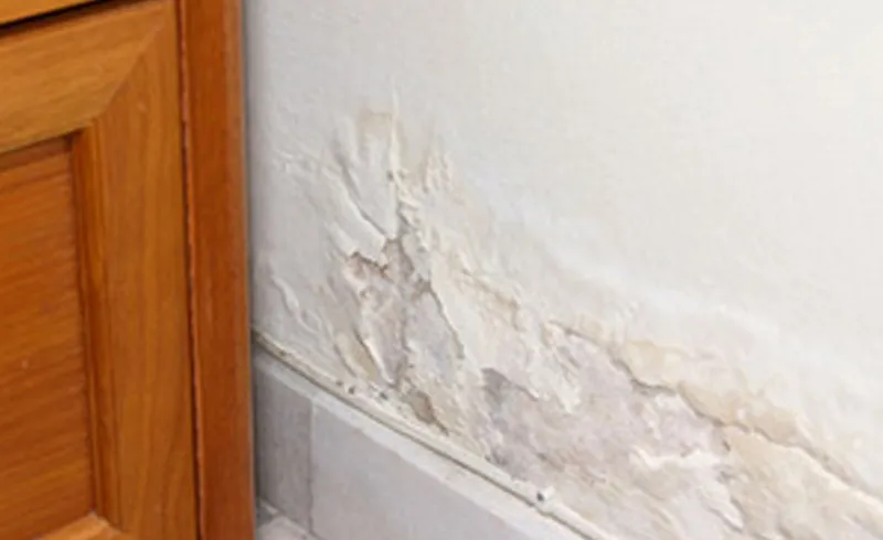 Crumbling plaster on a wall in a rented home