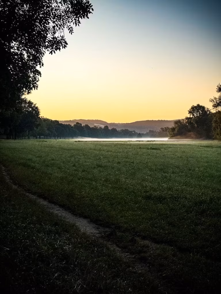 Mein erster 50K-Ultramarathon — Bild 3