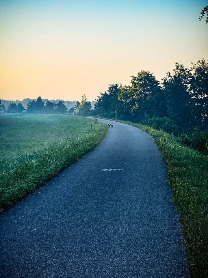 50K-Ultramarathon-10