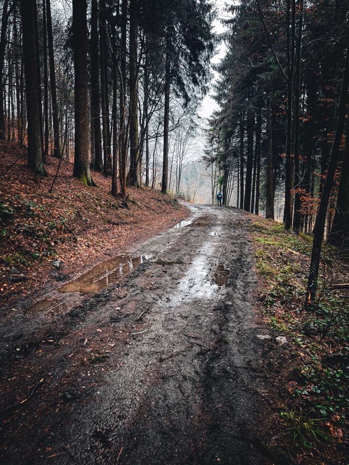 On The Run 2025 — Fotografie 12