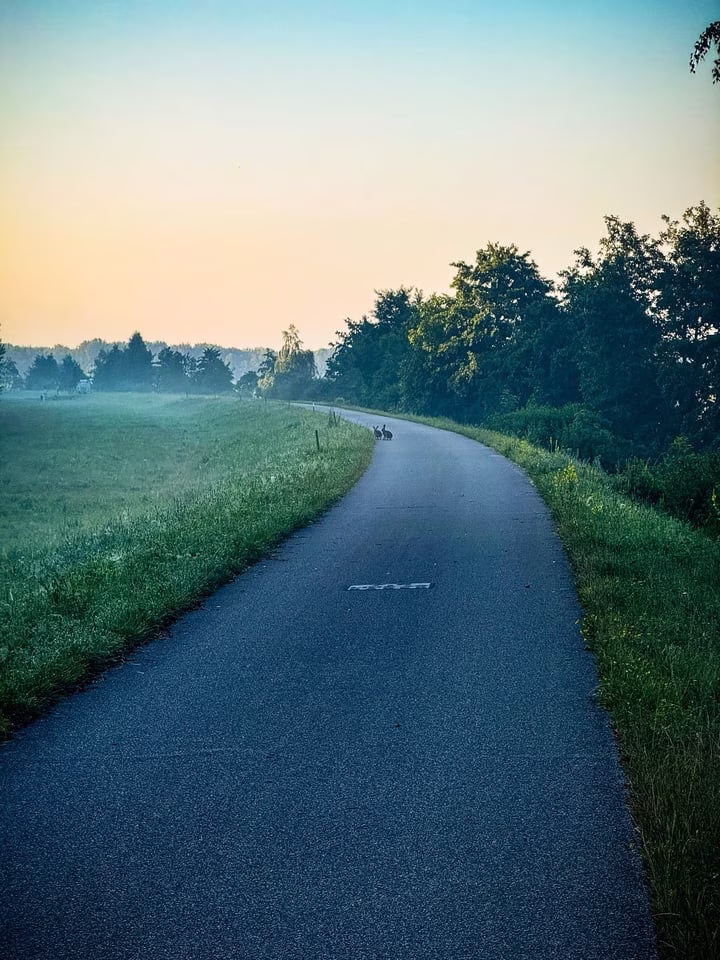 On The Run 2025 — Fotografie 31