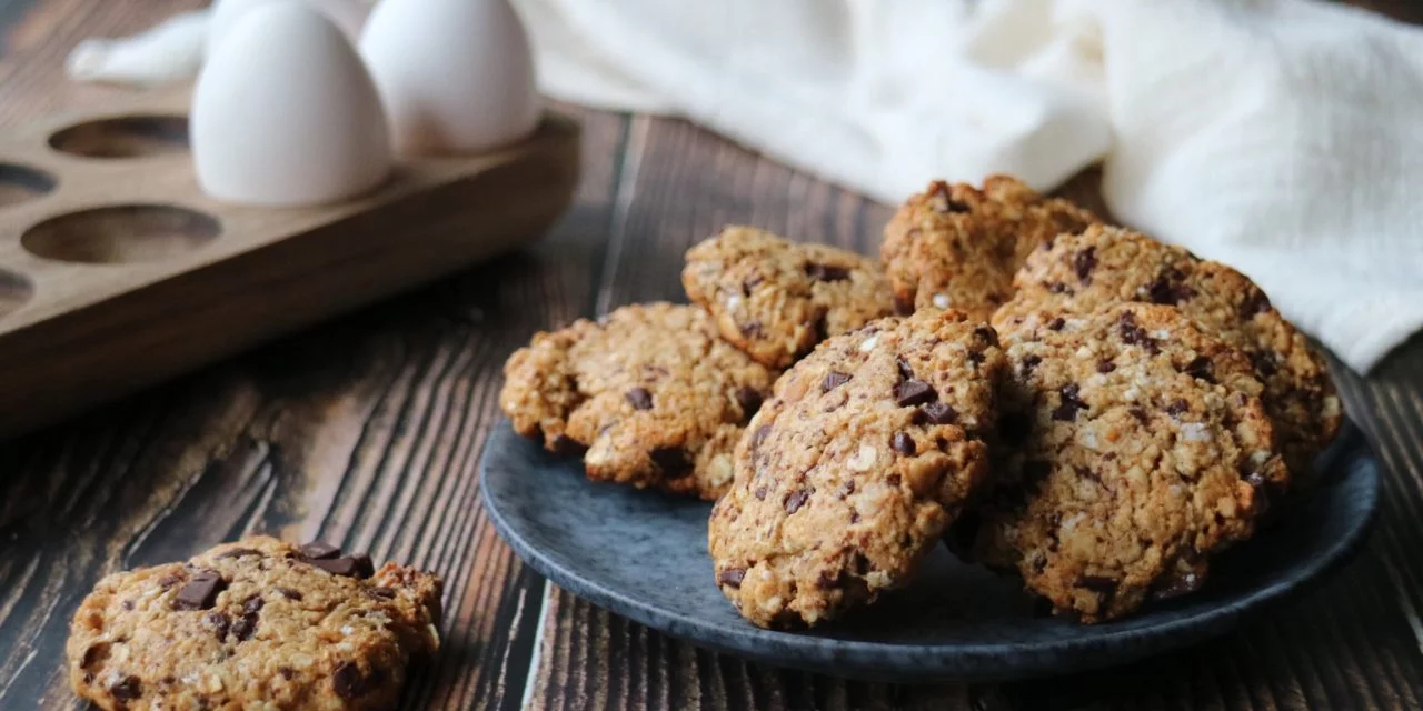 Proteincookies