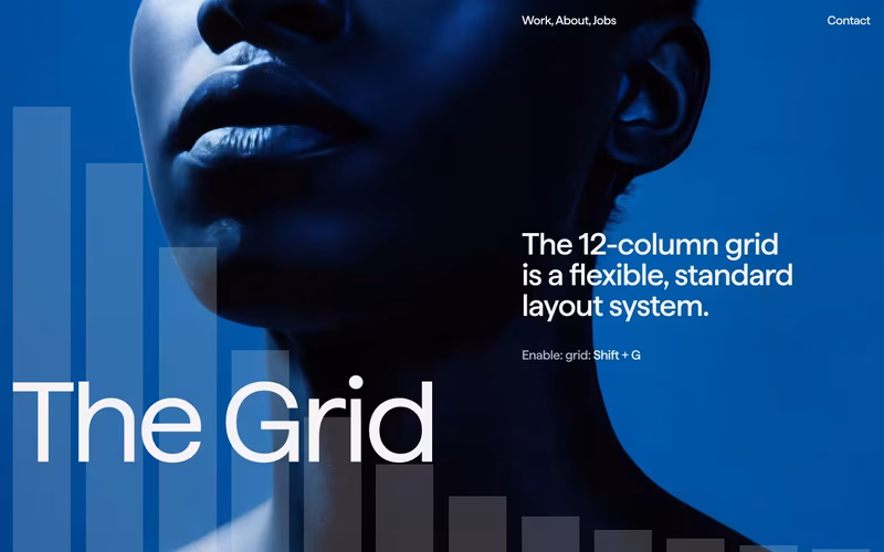 Vorschau: Animated Grid Overlay (Columns)