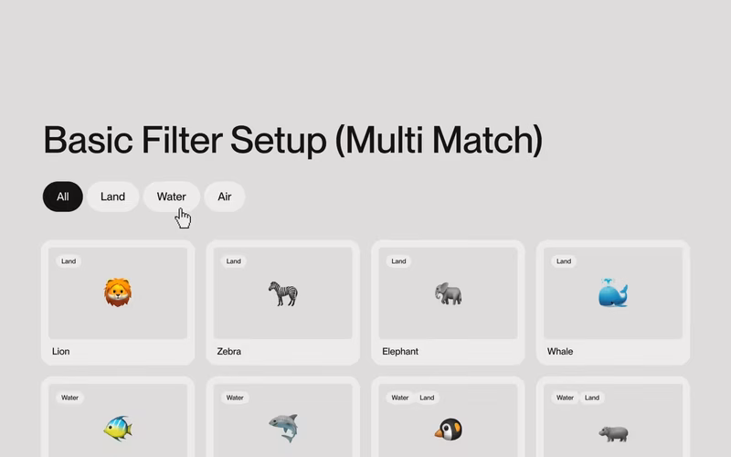 Vorschau: Basic Filter Setup (Multi Match)