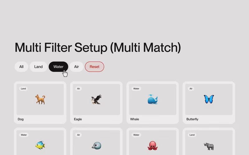 Vorschau: Multi Filter Setup (Multi Match)