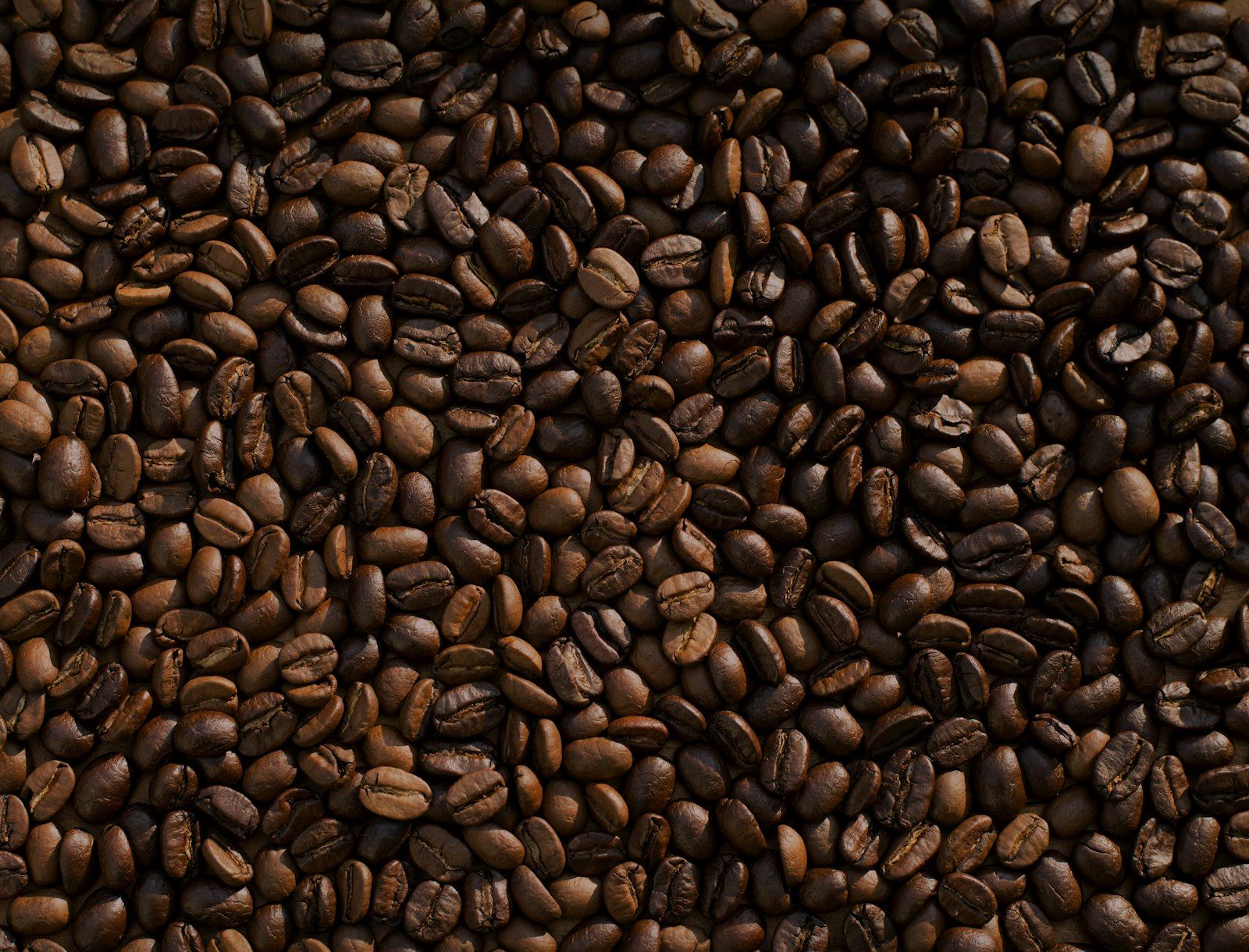 The roastery at North Pier Workshop