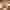 Basenfasten_IKUNA_Seminarpackages