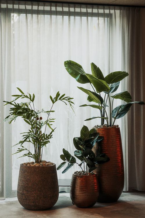 IKUNA Spa und Wellnesswelt Pflanzentöpfe