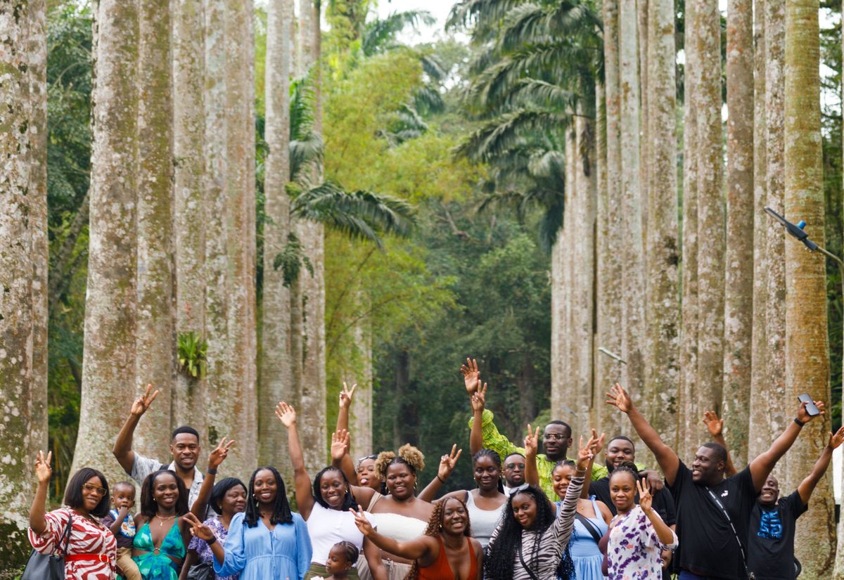 A full group with arms raised under the royal palm avenue at Aburi Botanical Gardens