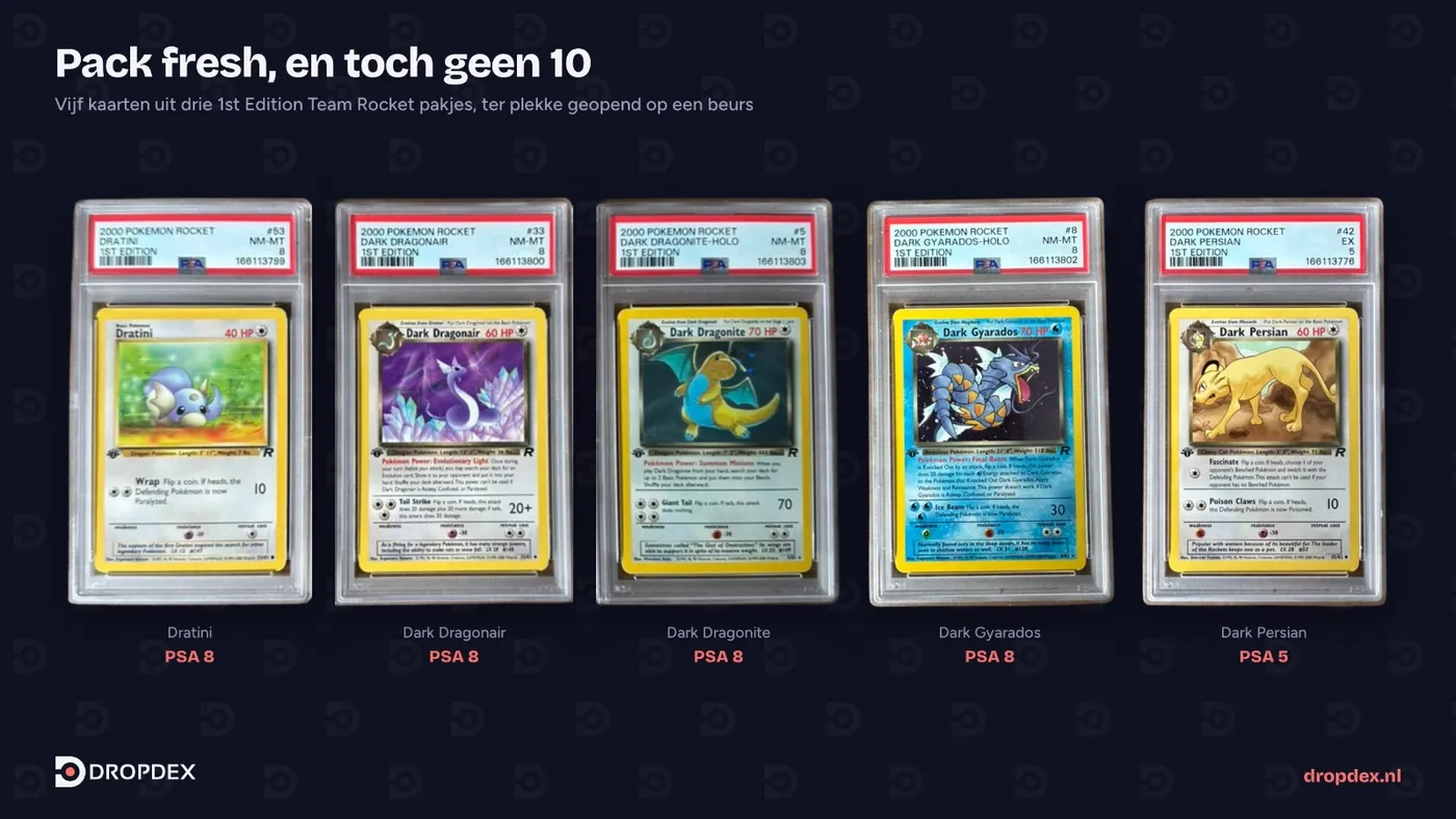 Vijf 1st Edition Team Rocket kaarten in PSA-slabs: Dratini, Dark Dragonair, Dark Dragonite en Dark Gyarados met een 8, Dark Persian met een 5