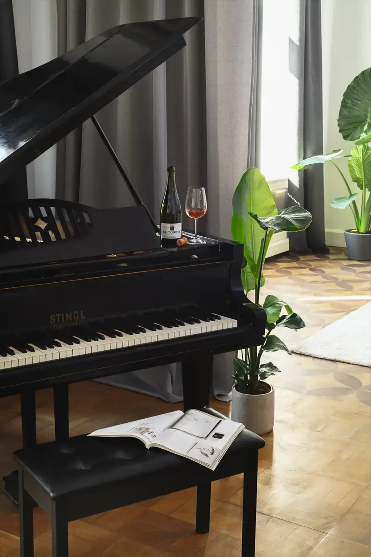Piano and interior details