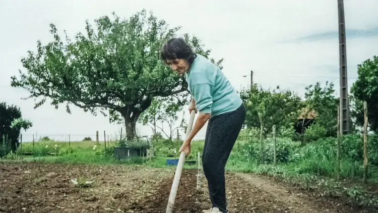 Woman digging a vegetable patch in a garden on an overcast day