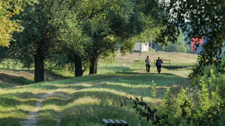 Two people walking a grassy path between trees in summer