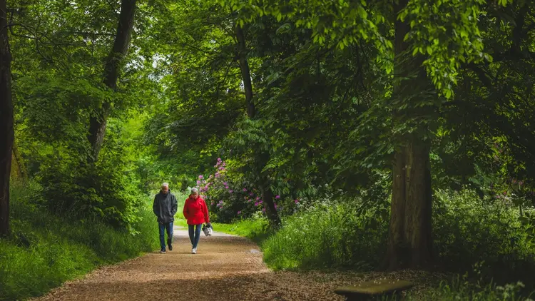 Couple walking a woodland path surrounded by dense green trees