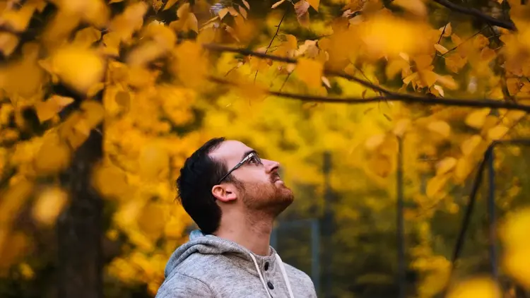 Man in glasses looking up through bright yellow autumn leaves