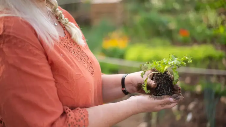 Woman holding a leafy seedling in her cupped hands in a garden