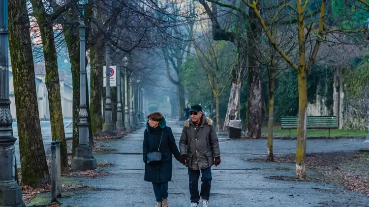 Couple walking arm in arm down a misty tree-lined avenue in winter