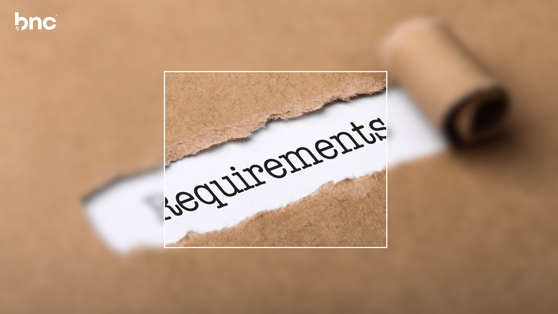 IFRS 19 Explained: Simplified Disclosure Requirements for Eligible Subsidiaries