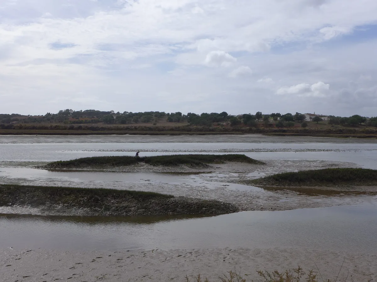 Vasières et bancs à découvert dans la Ria de Alvor à marée basse
