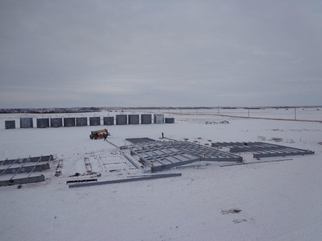 Galloway Seeds — building the plant