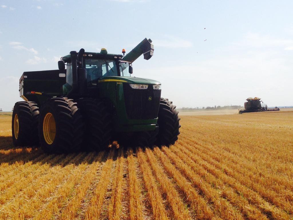 Galloway Seeds — field & harvest