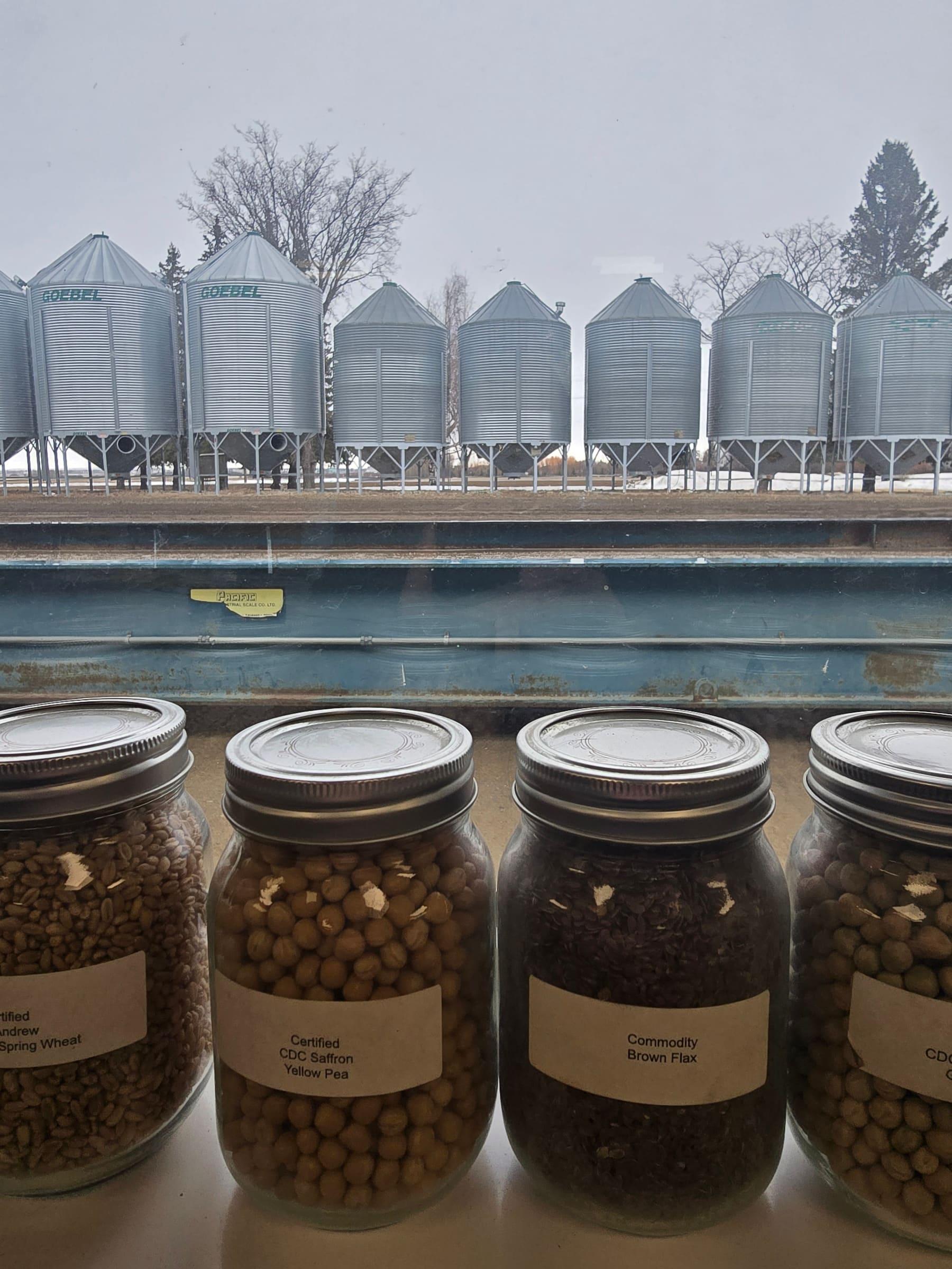 Galloway Seeds — seed up close