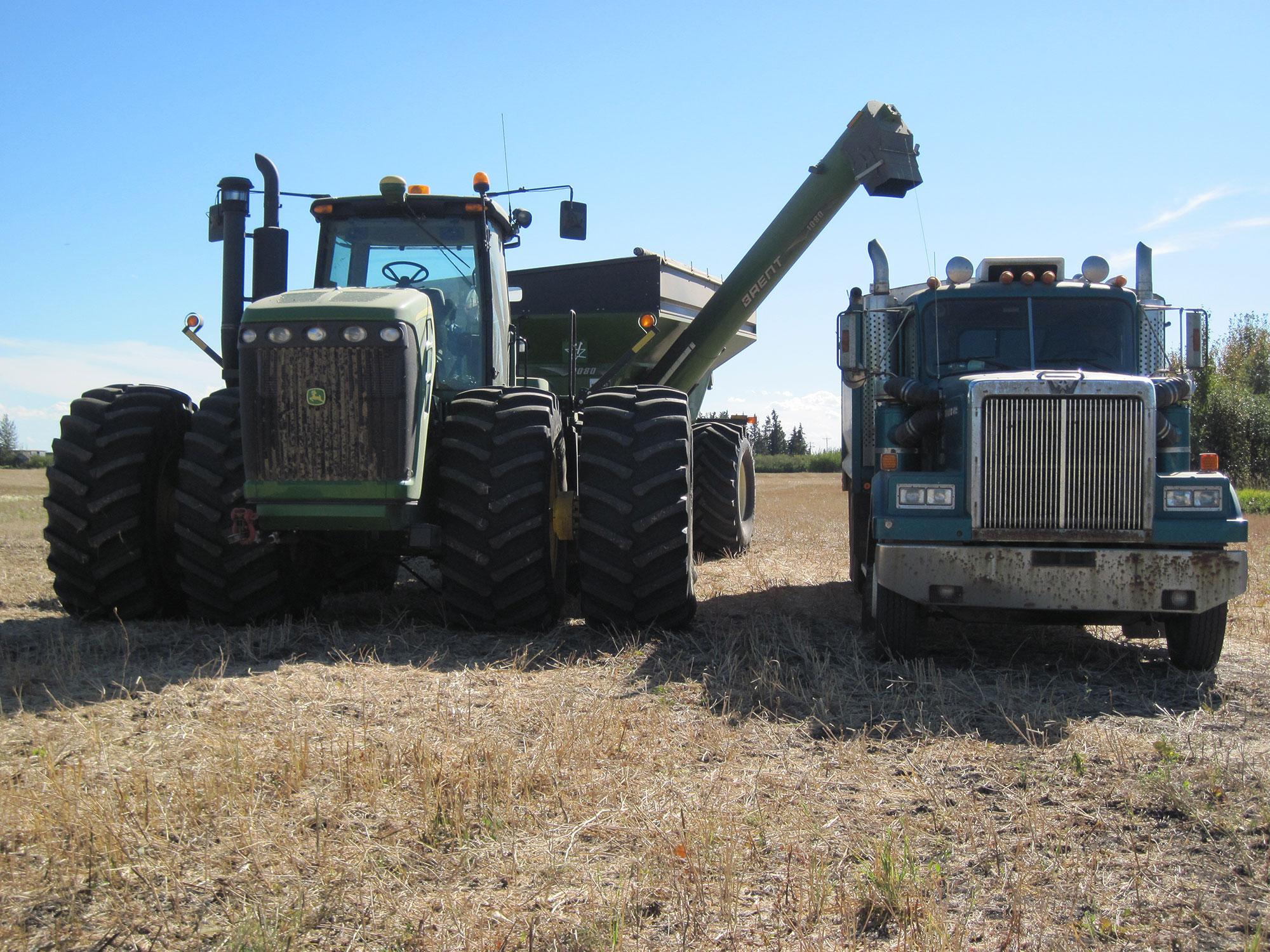 Galloway Seeds — field & harvest