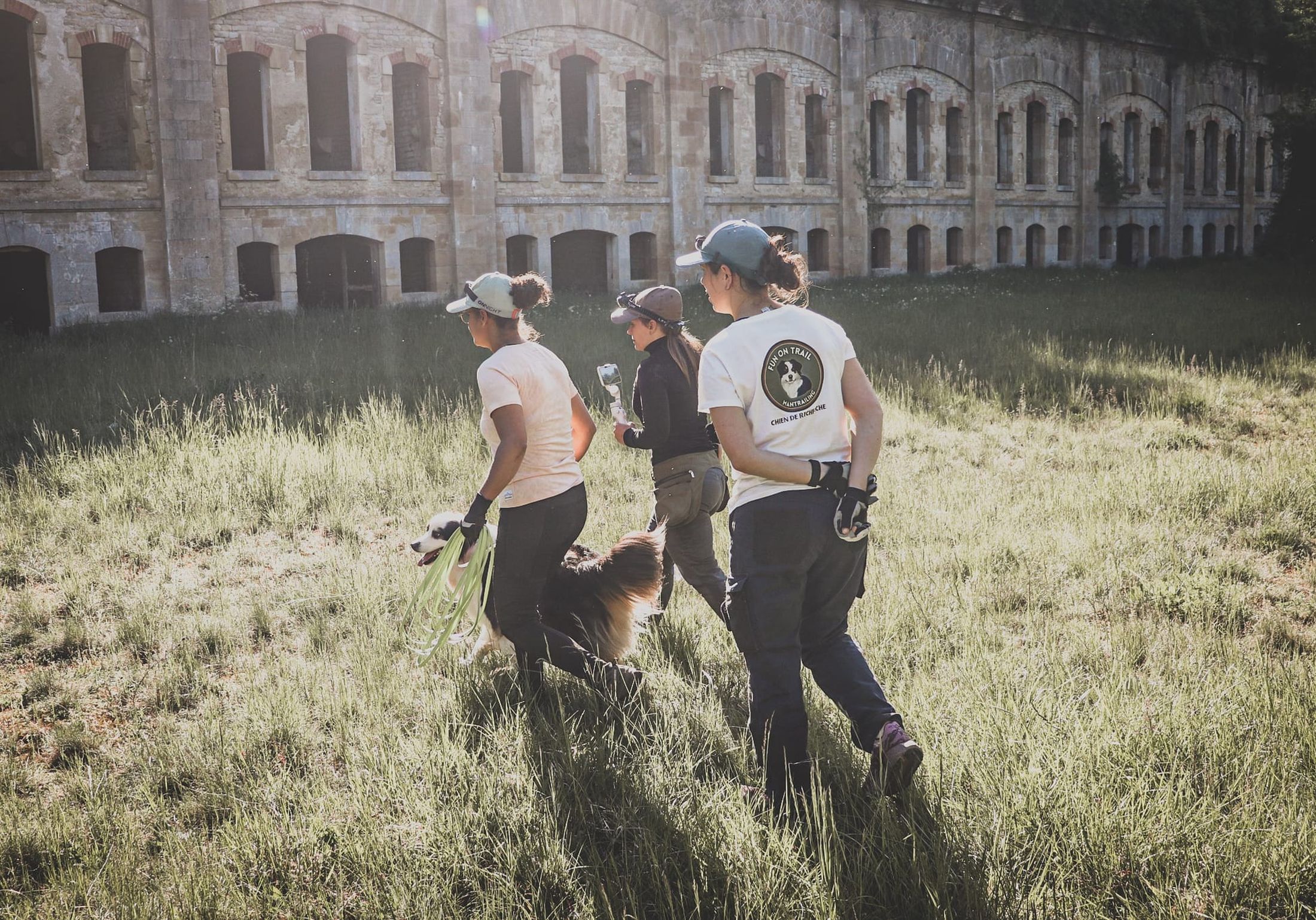 Trois personnes et deux chiens marchent dans l'herbe haute vers un ancien fort, en fin de journée.