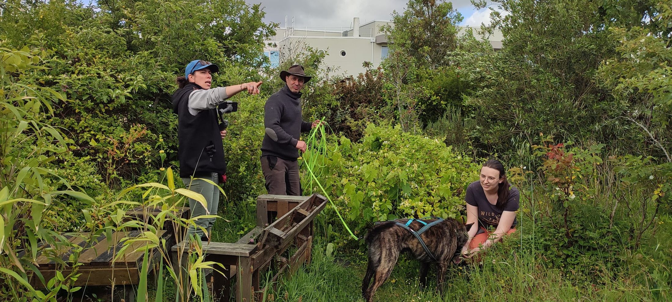 Trois personnes et un chien en harnais lors d'une séance de mantrailing, au milieu de la végétation.