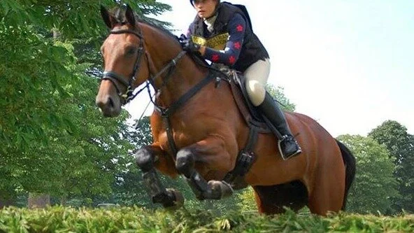 Willberry Wonder Pony Charity