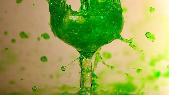 Consumer authorities worldwide urge against greenwashing by fashion retailers 