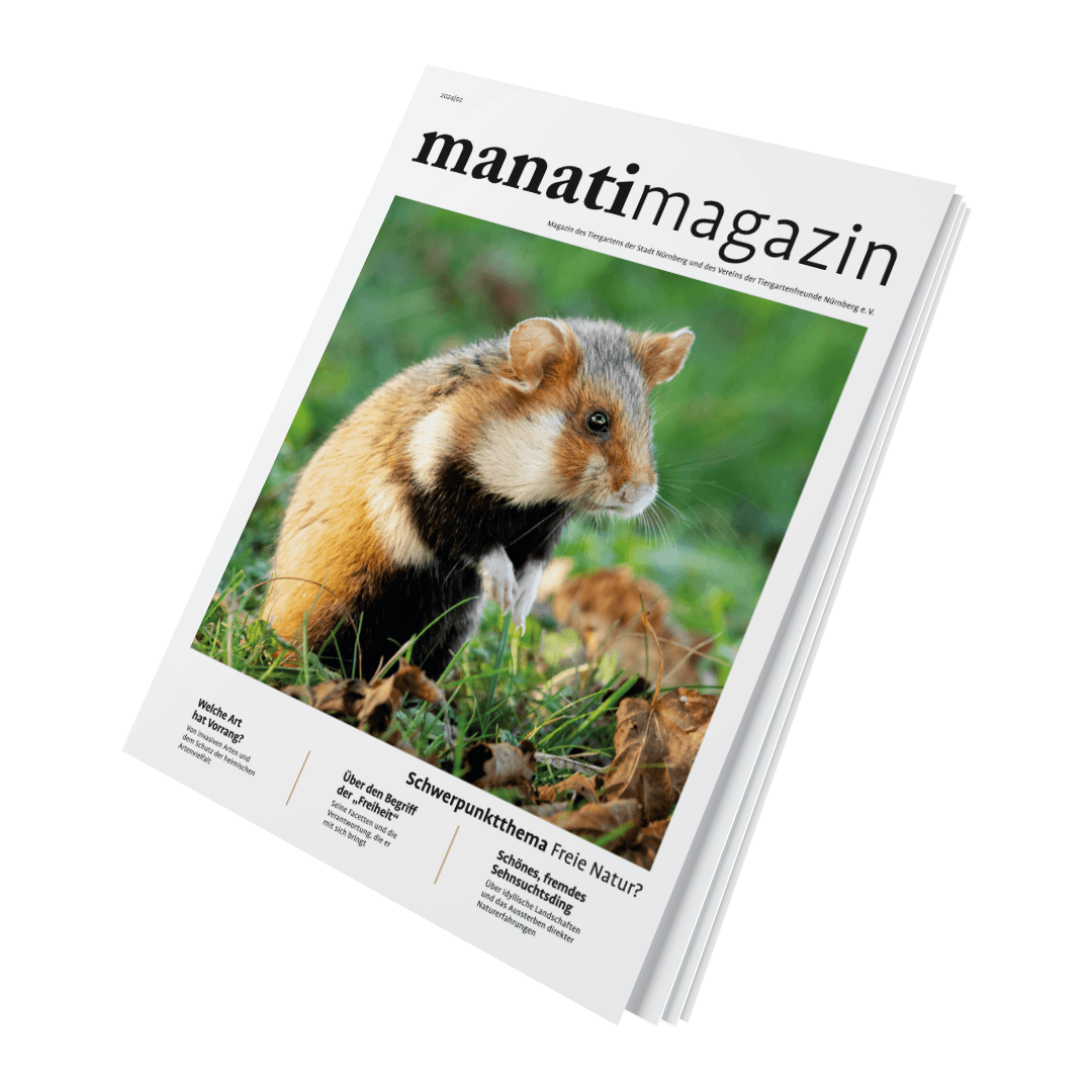 Titel manatimagazin 24|02, Schwerpunktthema Freie Natur?, mit Feldhamster