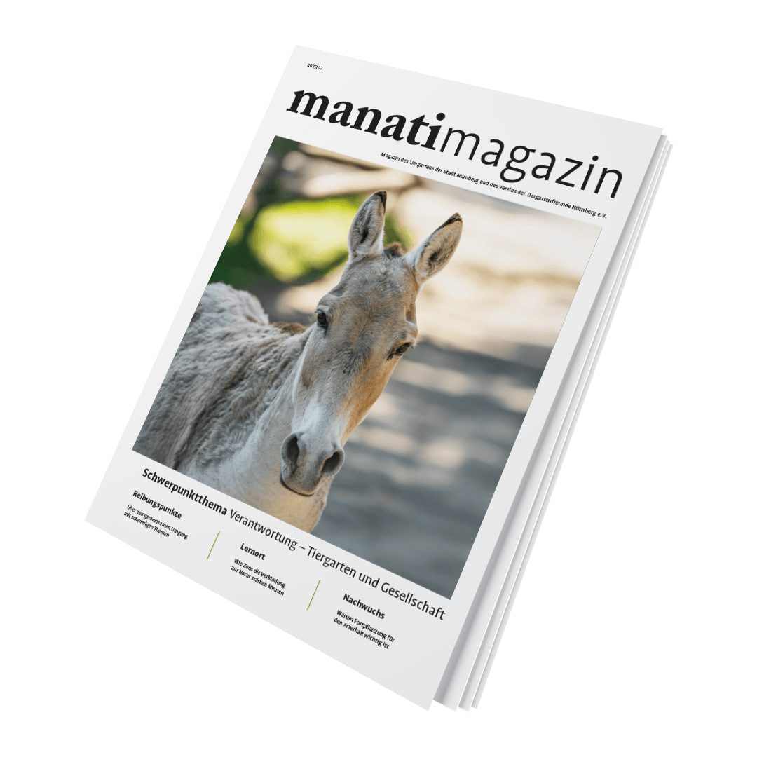 Titel manatimagazin 25|02, Schwerpunktthema Verantwortung – Tiergarten und Gesellschaft, mit Wildesel
