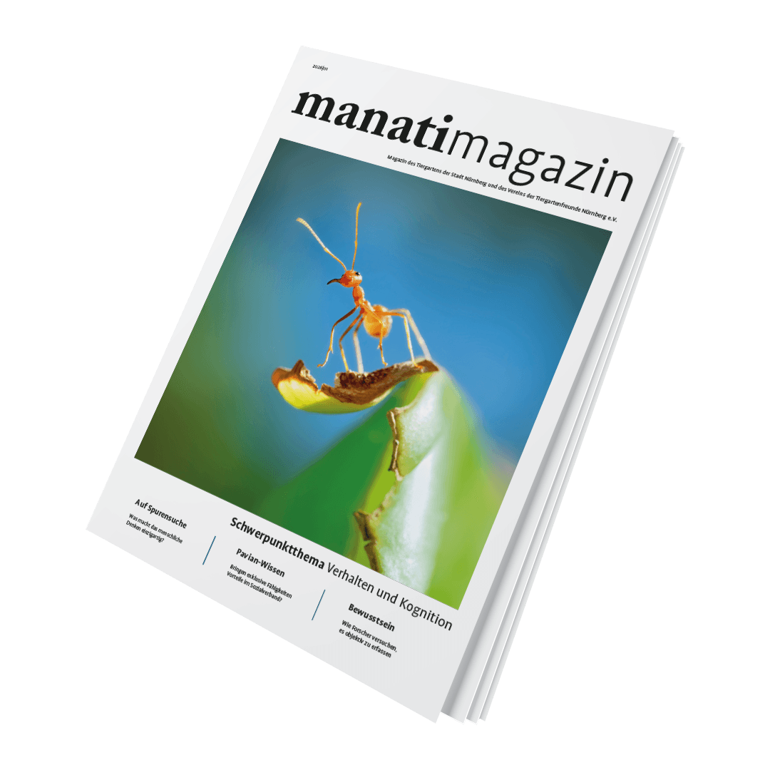 Titel manatimagazin 26|01, Schwerpunktthema Verhalten und Kognition, mit Ameise