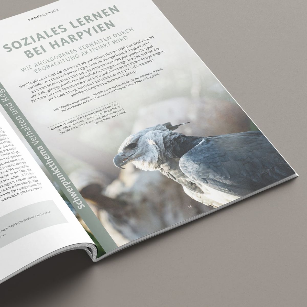 Aufgeschlagene Seite „Soziales Lernen bei Harpyien“ aus dem manatimagazin