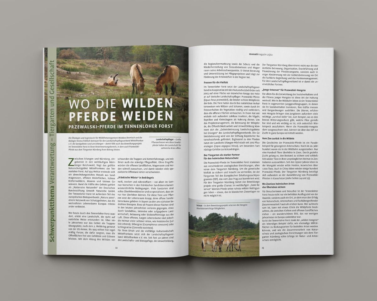 Doppelseite „Wo die wilden Pferde weiden“ über Przewalski-Pferde im Tennenloher Forst