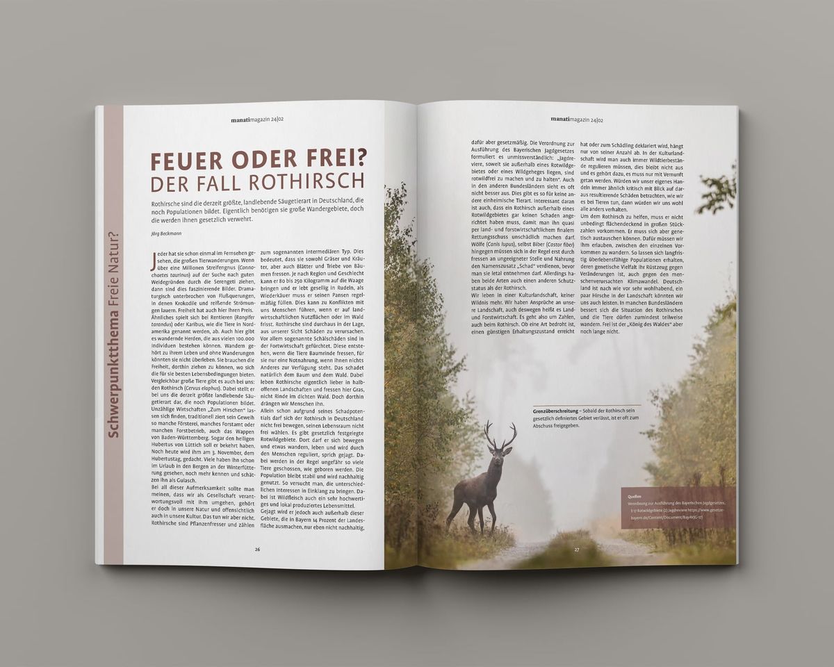 Doppelseite „Feuer oder frei? Der Fall Rothirsch“ aus dem manatimagazin